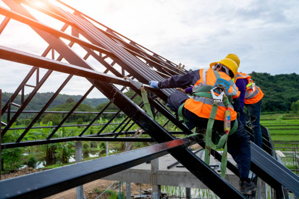 Best Roof Maintenance Services  in Cedar Springs, MI