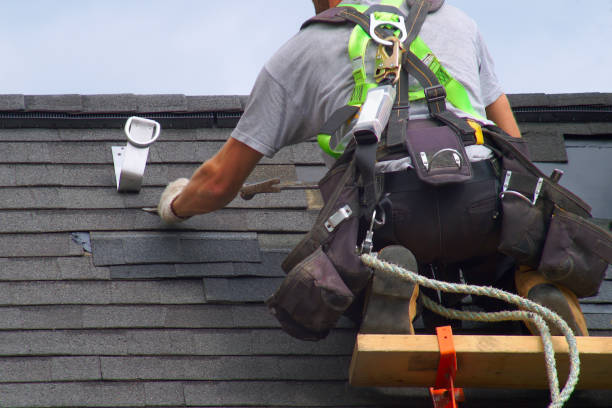 Best Flat Roof Repair Services  in Cedar Springs, MI