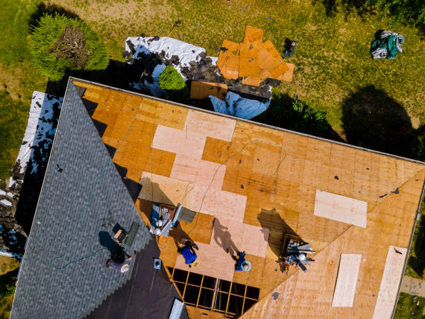 Best Roof Waterproofing Services  in Cedar Springs, MI
