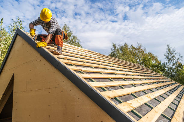 Best Slate Roofing Contractor  in Cedar Springs, MI