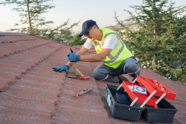 Quick and Trustworthy Emergency Roof Repair Services in Cedar Springs, MI