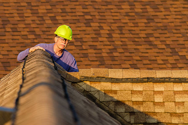 Best Commercial Roofing Services  in Cedar Springs, MI
