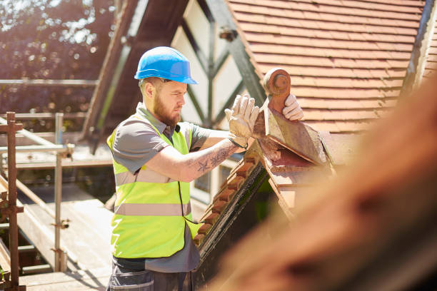 Best Roof Leak Repair  in Cedar Springs, MI